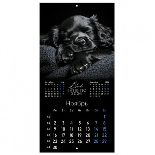 Календарь настенный перекидной 2026 г., BRAUBERG, 12 листов, 28,5х28,5 см, Black esthetic, 116927