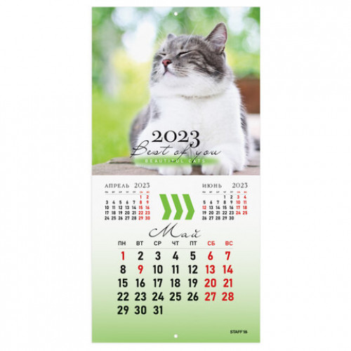 Календарь настенный перекидной 2023 г., 12 листов, 29х29 см, КОШКИ, STAFF, 114276