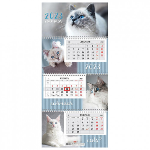Календарь квартальный с бегунком 2023 г., 3 блока, 3 гребня, ЭКСТРА, Кошачьи глазки, HATBER, 3Кв3гр3ц_27889