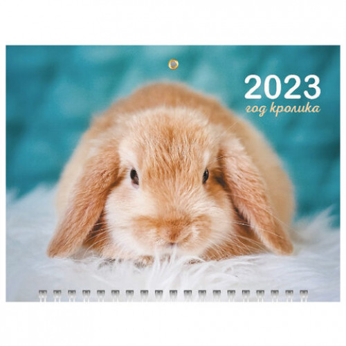 Календарь квартальный с бегунком 2023 г., 3 блока, 3 гребня, МИНИ, Год Кролика 1, HATBER, 3Кв3гр5ц_27914