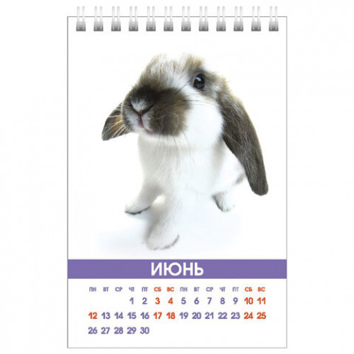 Календарь-домик настольный на гребне 2023 г., 105х160 мм, вертикальный, Ушастики, HATBER, 12КД6гр_27559