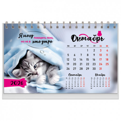 Календарь-домик настольный на гребне, 2026г, BRAUBERG, 160х110мм, 6 листов, Котики, 117296