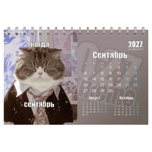 Календарь-домик настольный на гребне, 2027 г., BRAUBERG, 160х110 мм, 6 листов, Vibe meme, 118451