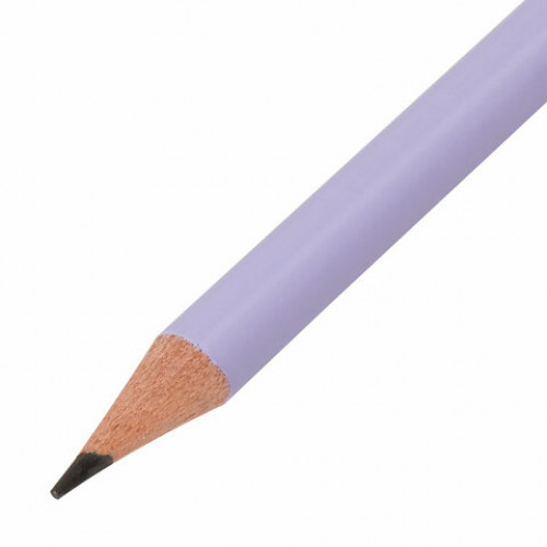 Карандаш чернографитный BRAUBERG PREMIUM TURKEY, 1 шт., Pastel, НВ, ассорти, дисплей