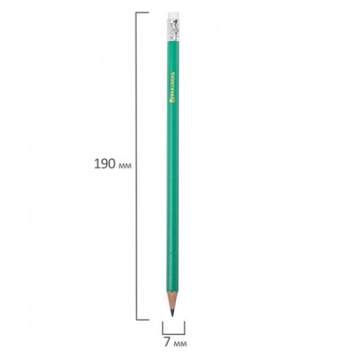 Карандаши чернографитные BRAUBERG НАБОР 12 шт., НВ, с резинкой, пластиковый зеленый корпус, 180678