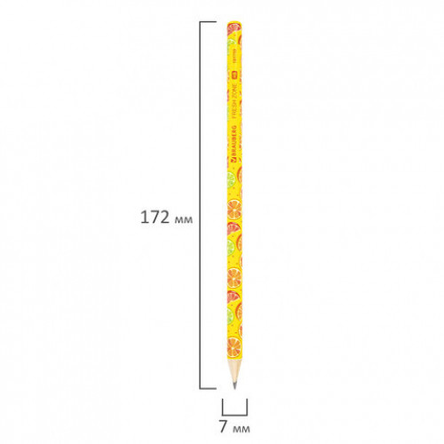 Карандаш чернографитный BRAUBERG FRESH ZONE, 1 шт., HB, корпус ассорти, 181759