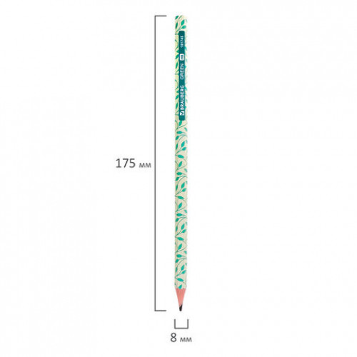 Карандаш чернографитный BRAUBERG GREEN, 1 шт., HB, пластиковый, корпус ассорти, 181745