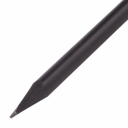 Карандаш чернографитный BRAUBERG PREMIUM TURKEY, 1 шт., Trios, НВ, ассорти, дисплей, 181572