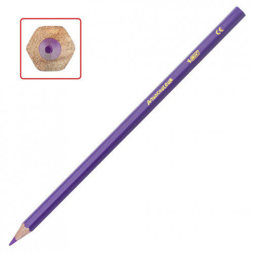 Карандаши цветные акварельные BIC Aquacouleur, 12 цветов, заточенные, европодвес, 8575613