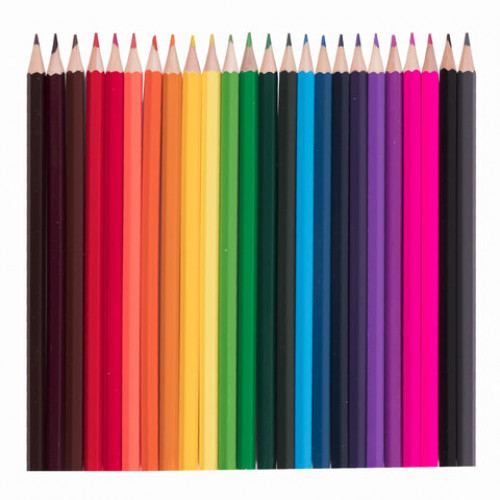 Карандаши цветные ПИФАГОР Веселая такса, 24 цвета, классические, заточенные, 181808
