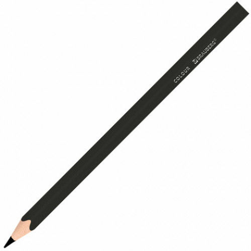 Карандаши цветные BRAUBERG KIDS, 12 цветов, трехгранный корпус, грифель мягкий 3 мм, 181943
