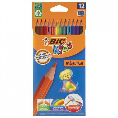 Карандаши цветные BIC Kids ECOlutions Evolution, 12 цветов, пластиковые, заточенные, европодвес, 82902910