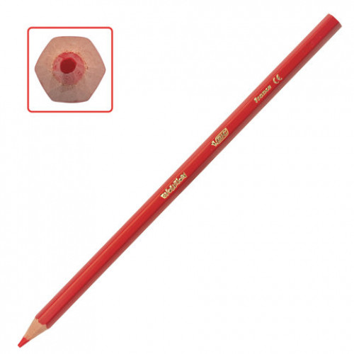 Карандаши цветные BIC Kids ECOlutions Evolution, 12 цветов, пластиковые, заточенные, европодвес, 82902910