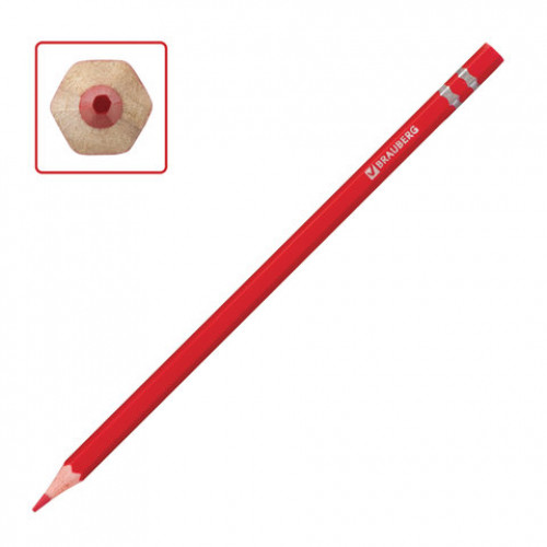 Карандаши цветные BRAUBERG Pretty Girls, 12 цветов, пластиковые, заточенные, картонная упаковка, 180576