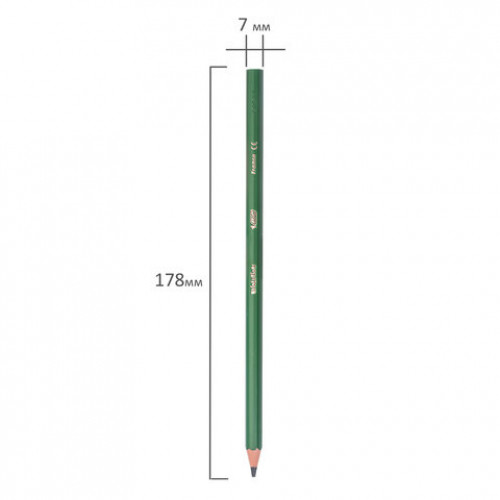 Карандаши цветные BIC Kids ECOlutions Evolution, 12 цветов, пластиковые, заточенные, европодвес, 82902910