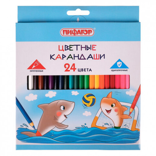 Карандаши цветные ПИФАГОР Веселые акулята, 24 цвета, классические, заточенные, 181818