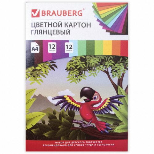 Картон цветной А4 МЕЛОВАННЫЙ (глянцевый), 12 листов 12 цветов, в папке, BRAUBERG, 200х290 мм, Килиманджаро, 129917