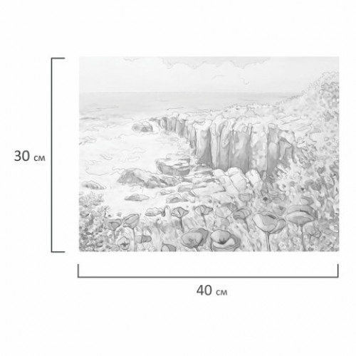 Холст на картоне с контуром BRAUBERG ART CLASSIC ЦВЕТЫ И МОРЕ, 30х40, грунтованный, хлопок, 191541
