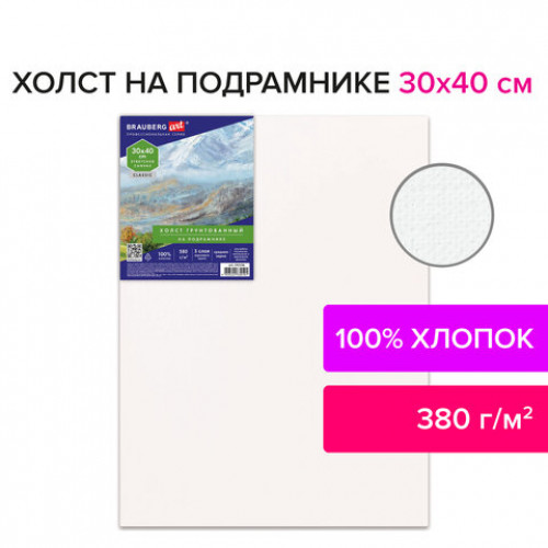 Холст на подрамнике 30х40 см, 380 г/м2, грунтованный, 100% хлопок, BRAUBERG ART, 192196