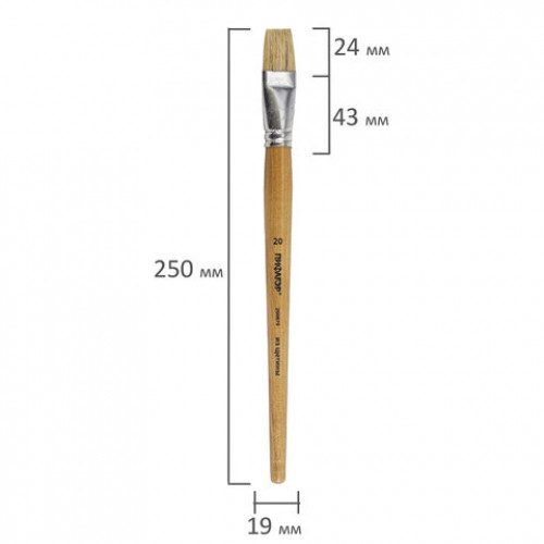 Кисть ПИФАГОР, щетина, плоская, № 20, 200879