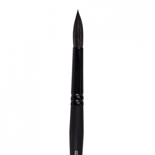 Кисть художественная проф. BRAUBERG ART CLASSIC, белка, круглая, № 8, короткая ручка, 200914