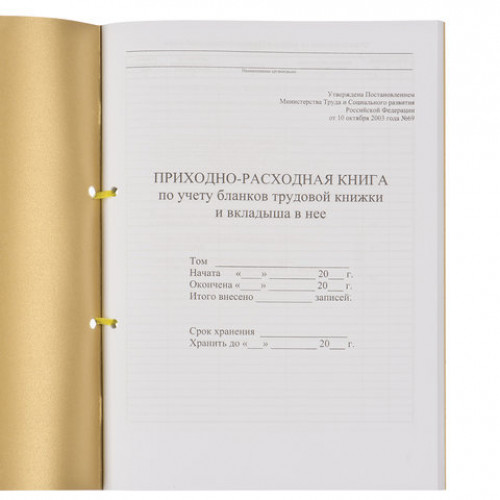 Книга Приходно-расходная по учету бланков трудовой книжки, 32 л., сшивка/пломба/обложка ПВХ, 130207