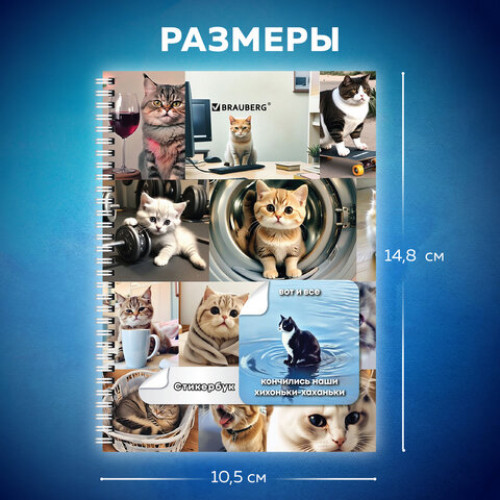 Стикербук ПРОСТО НАКЛЕЙ А6, 16 листов, 96 цветных стикеров, на гребне, BRAUBERG, Коты мемы, 666050