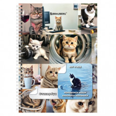 Стикербук ПРОСТО НАКЛЕЙ А6, 16 листов, 96 цветных стикеров, на гребне, BRAUBERG, Коты мемы, 666050