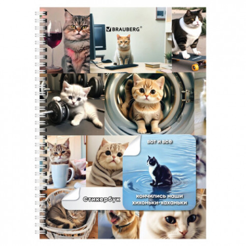 Стикербук ПРОСТО НАКЛЕЙ А6, 16 листов, 96 цветных стикеров, на гребне, BRAUBERG, Коты мемы, 666050