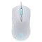 Мышь проводная DEFENDER Arga GM-049, 1200/1800/2400/3600 dpi, 5 кнопок + 1 колесо-кнопка, белый, 52048