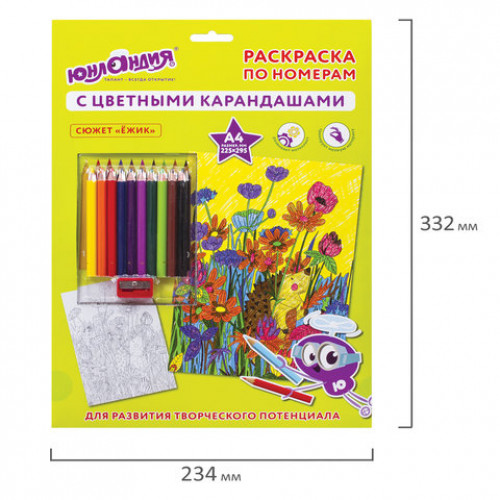 Раскраска по номерам А4, ЮНЛАНДИЯ ЕЖИК, С ЦВЕТНЫМИ КАРАНДАШАМИ, на картоне, 661608