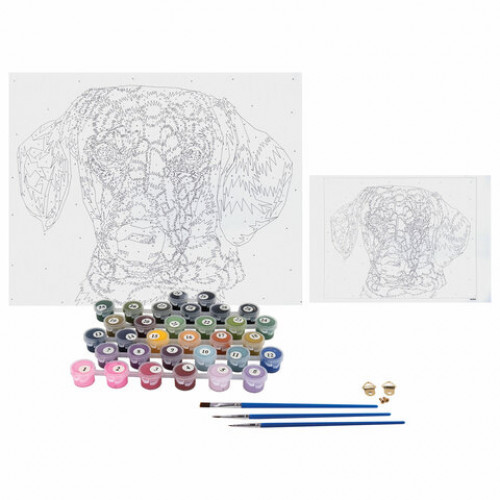 Картина по номерам 40х50 см, ОСТРОВ СОКРОВИЩ Такса, на подрамнике, акрил, кисти, 663325