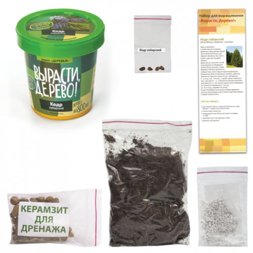 Набор для выращивания растений ВЫРАСТИ ДЕРЕВО! Кедр Сибирский (банка, грунт, семена), zk-001