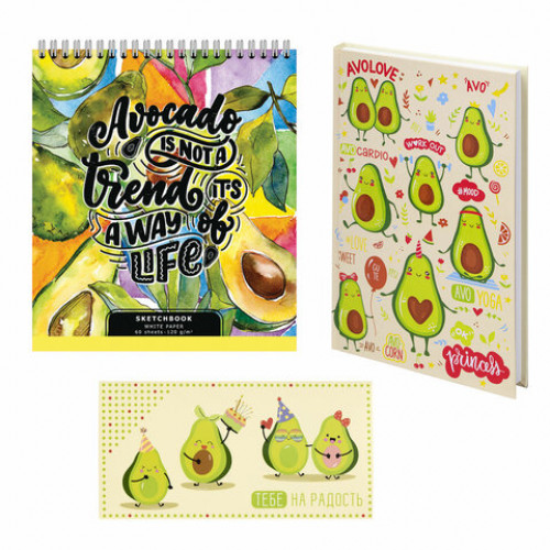 Набор канцелярии подарочный BRAUBERG AVOCADO, 18 наименований, 43 предмета, 880951
