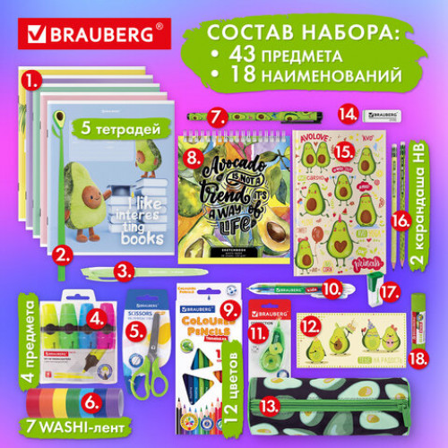 Набор канцелярии подарочный BRAUBERG AVOCADO, 18 наименований, 43 предмета, 880951