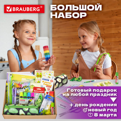 Набор канцелярии подарочный BRAUBERG AVOCADO, 18 наименований, 43 предмета, 880951