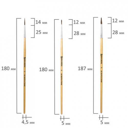 Кисти BRAUBERG, набор 5 шт. (пони, круглые № 1, 2, 3, 4, 5), блистер, 200222