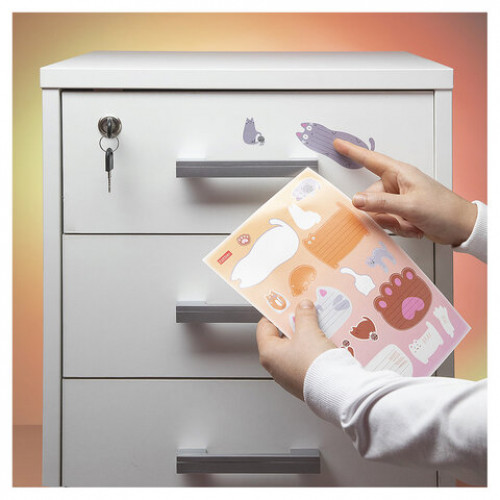 Наклейки КОТОВАСИЯ для маркировки школьных принадлежностей, НАБОР 4 листа, 64 наклейки, HATBER, 4Н5н