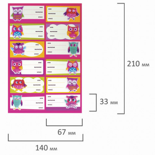 Наклейки для маркировки школьных принадлежностей Совы, 12 штук, 14х21 см, ЮНЛАНДИЯ, 662710