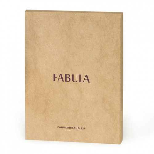 Обложка для паспорта FABULA Largo, натуральная кожа, тиснение Passport, синяя, O.1.LG