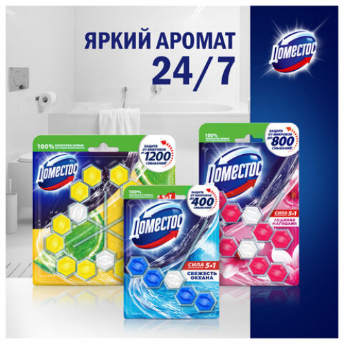 Блок туалетный подвесной твердый 2х55г ДОМЕСТОС Сила 5в1 Ледяная магнолия, ш/к 8763