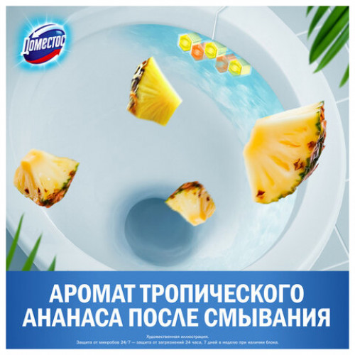 Блок туалетный подвесной твердый 2х50г+3х50г ДОМЕСТОС Свежесть цитруса и Цветочный б