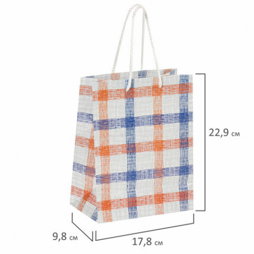 Пакет подарочный 17,8x9,8x22,9 см, ЗОЛОТАЯ СКАЗКА Рисунок карандашом, ламинированный, 606594