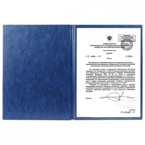 Папка адресная ПВХ НА ПОДПИСЬ, формат А4, увеличенная вместимость до 100 листов, синяя, ДПС, 2032.Н-101