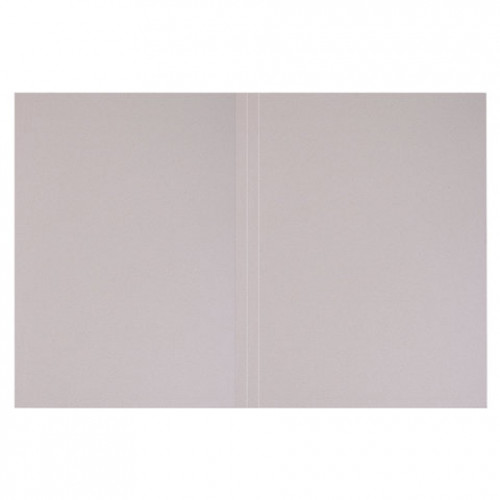 Папка без скоросшивателя Дело, картон мелованный, плотность 280 г/м2, до 200 листов, BRAUBERG, 110927