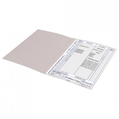 Папка без скоросшивателя Дело, картон мелованный, плотность 280 г/м2, до 200 листов, BRAUBERG, 110927