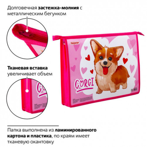 Папка для тетрадей ПИФАГОР А4, 1 отделение, картон, молния сверху, KORGI, 229102