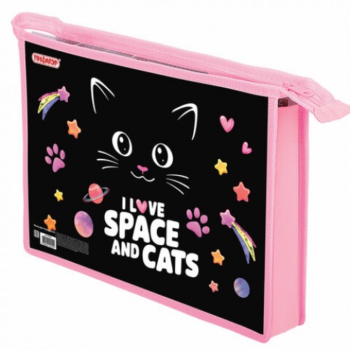 Папка для тетрадей ПИФАГОР А4, 1 отделение, картон/пластик, на молнии, Dark kitten, 273339