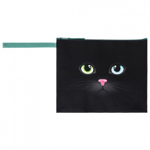 Папка для тетрадей BRAUBERG А5, 1 отделение, ткань, молния сверху, с ручкой, Black Cat, 270339