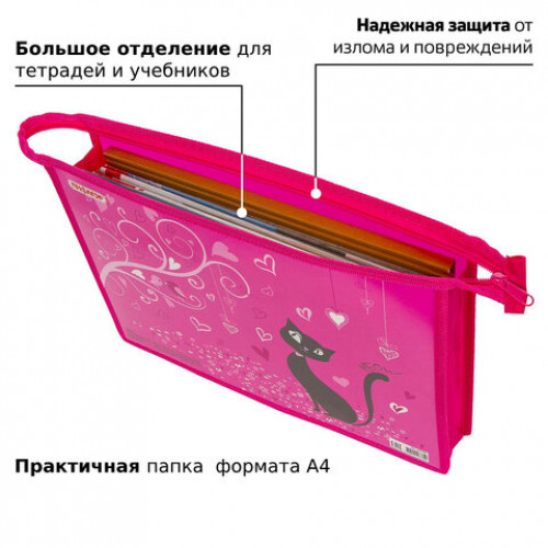 Папка для тетрадей ПИФАГОР А4, 1 отделение, картон, молния сверху, BLACK CAT, 229103